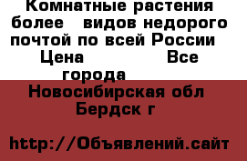 Комнатные растения более200видов недорого почтой по всей России › Цена ­ 100-500 - Все города  »    . Новосибирская обл.,Бердск г.